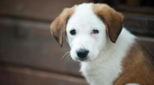 Jak wybrać wyjątkowe imię inspirowane różnymi kulturami?